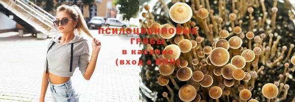 скорость Алексин